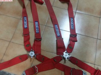 Arneses sparco anchos