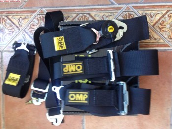 Arnes omp 6 puntos homologación hasta 2019