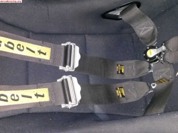 Vendo pareja de arneses 