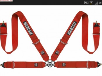 Arnes sparco hasta 2020