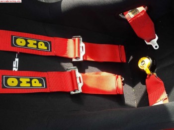 Pareja de arneses homologados  hasta 2017 140e