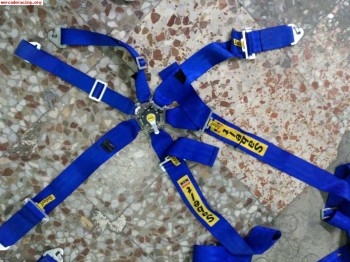 Arneses 6 puntos sabelt