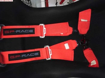 Arneses gp race