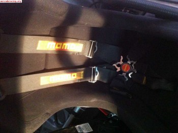 Pareja arneses momo 60 euros