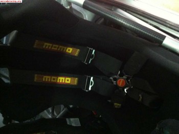 Arneses momo 30 euros