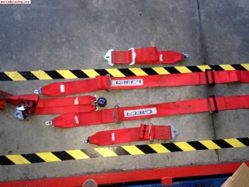 Se vende pareja de arneses oreca en vigor