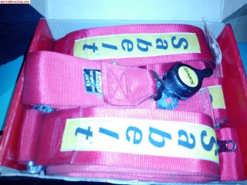 Pareja de arneses sabelt,vigentes hasta 2018 y 2019