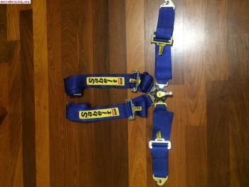 Juego de arneses sabelt