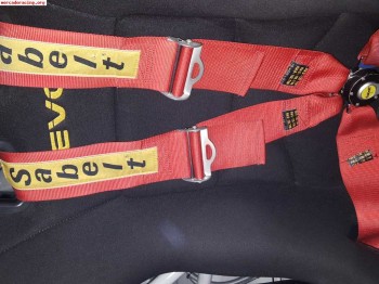 Arneses como y sabelt