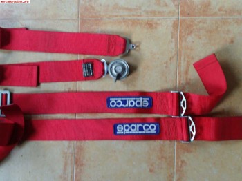 Arnes sparco caducado