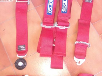 Arnés sparco(precio a convenir )