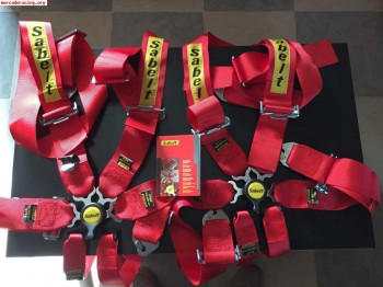 Arneses sabel 6 puntos 