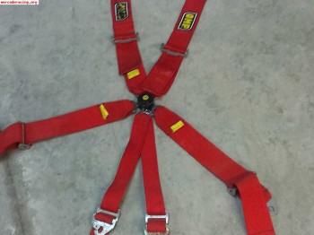 Vendo arneses omp 6 puntos