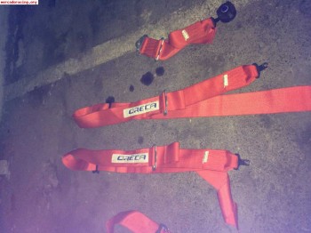 Arneses oreca 4 puntos