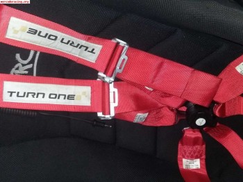 Arneses homologados hasta 2019 6 puntos