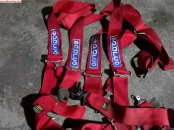 Arneses 4 puntos sparco caducados económicos