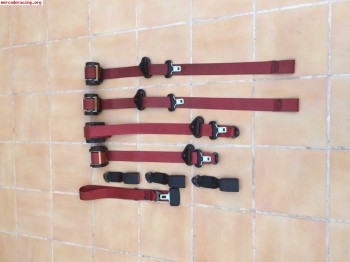 Cinturones rojos peugeot 106 rallye