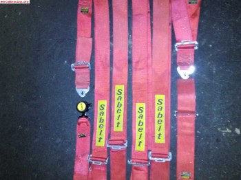 Pareja de arneses sabelt en vigor hasta 2018 y 2019