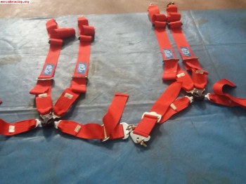 Arnes gt2i 4pts homologacion fia recien caducada