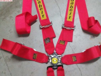 Se vende arnes sabelt 6puntos 2019