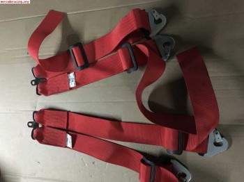 Extension harnes seis puntos 