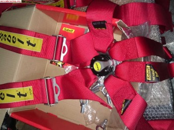     pareja arneses sabelt 6 puntos 