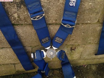 Arneses caducados a 30€