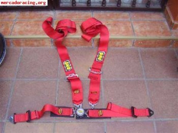 Vendo arnes omp homologado hasta 2011