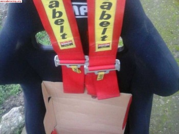 Backet omp trs y arneses sabelt vigentes