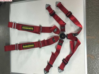 Vendo pareja arneses schroth clubman ii 6 puntos 3 