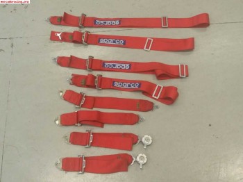 Arneses sparco 4 puntos