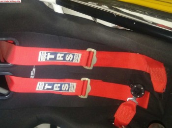 Arneses trs caducados