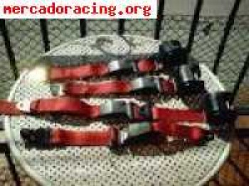 Cinturones sabelt rojos