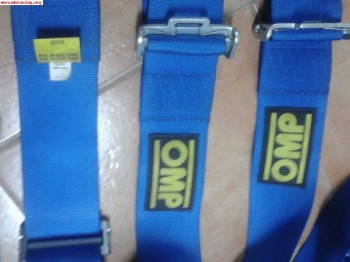 Arnes omp 4 puntos valido asta 2019