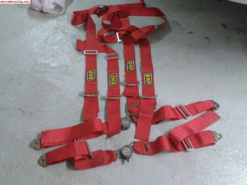 Arneses omp caducados