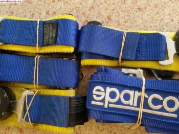 Arneses 4 puntos sparco 100€