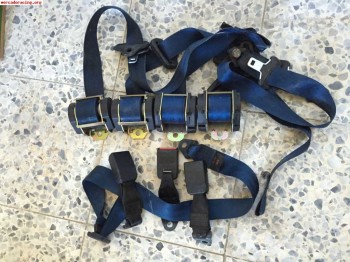 Clio williams cinturones