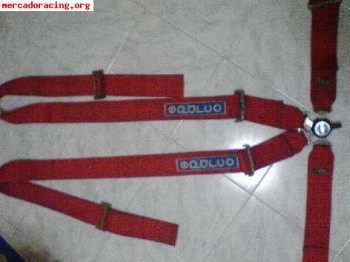 Vendo arneses sparco 80 euros