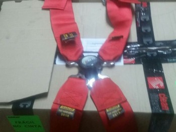 Arnes ns sabelt homologacion en vigor