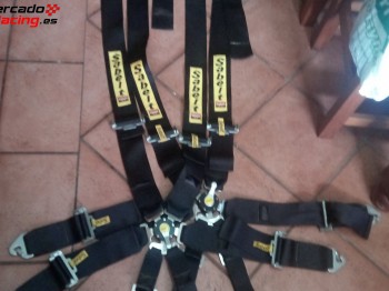 Pareja de arneses sabelt 