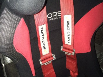 Pareja de baquet y arneses