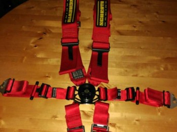 Arnés schrotch 6 puntos