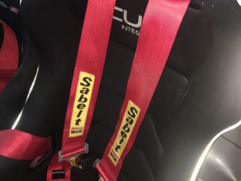 Se venden arneses sabelt