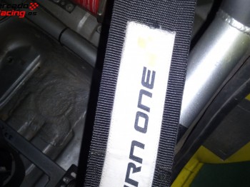 Arnes 6 puntos 50 eur