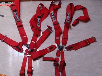 Arneses 6 puntos caducados