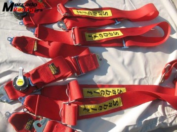 Juego de dos cinturones arnés sabelt