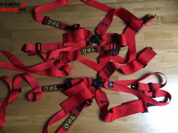 Dos arneses qsp de 6 puntos válidos hasta 2020