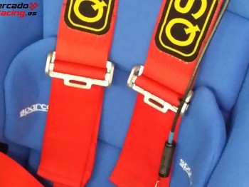 Arnes 4 puntos homologadp hasta finales 2017!! economico