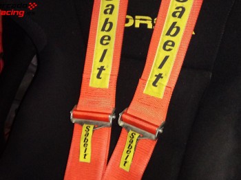 100€ pareja  arneses homologados 