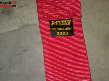 Arneses sabelt 6 puntos.2020